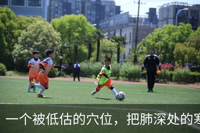 一个被低估的穴位，把肺深处的寒饮化掉